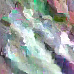 Black Java Plum Live Plant (Syzygium cumini) Fruit Tree 6-10 inches Tall - Image 5