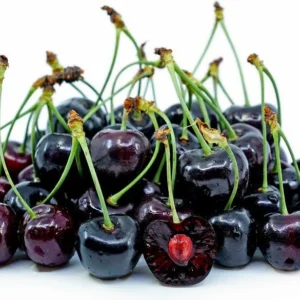 Black Tartarian Sweet Cherry Scion Wood Cuttings - 6 Organic Prunus Avium - Image 3