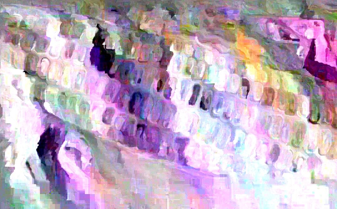 Bloody Butcher Red Corn Seeds - Heirloom Organic, High Protein, 100 Seeds - Image 3