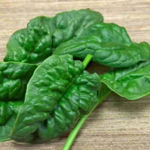 Bloomsdale Long Standing Spinach Seeds - Organic, Heirloom, Non-GMO - 50+ Seeds - Image 2