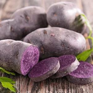Blue Adirondack Seed Potatoes - USDA Certified, Purple, 500g for Planting - Image 1