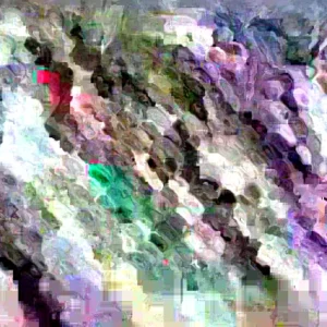 Blue Hopi Indian Flint Flour Corn Seeds 200 Count Organic Heirloom Garden - Image 2