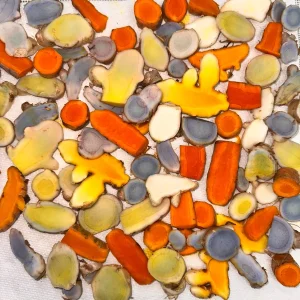 Blue Turmeric Rhizomes for Planting - Fresh Live Root for Growing - Image 2