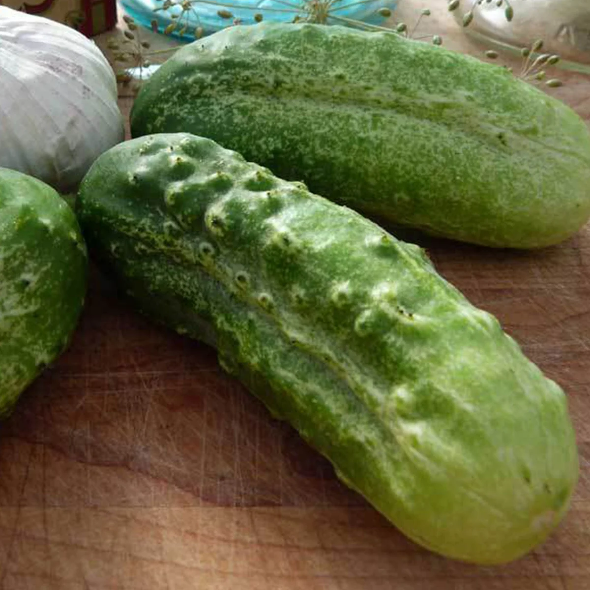 Boston Pickling Cucumber Seeds - Non-GMO Heirloom Vegetable Seeds - Image 1