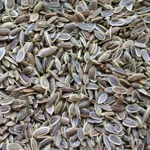 Bouquet Dill Seeds - Organic Non-GMO Heirloom Herb Seeds - 250-500 Seeds for Outdoor Gardening - Image 2