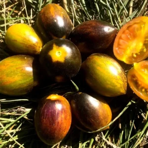 Brad's Atomic Grape Tomato Seeds - 20 Organic Vegetable Seeds for Garden - Image 4