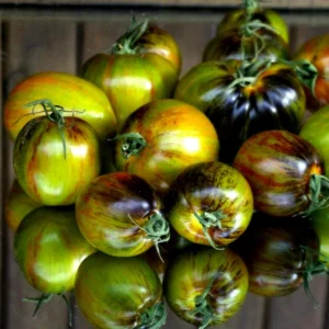 Brad's Atomic Grape Tomato Seeds - 20 Organic Vegetable Seeds for Garden - Image 6