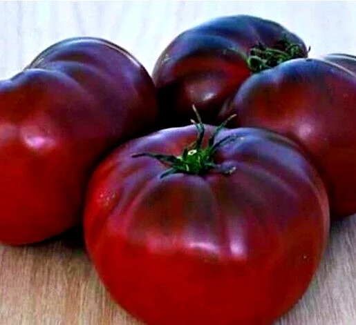 Brandywine Heirloom Tomato Seeds Organic - Black, Red, Orange, Pink - 25 Seeds - Image 3