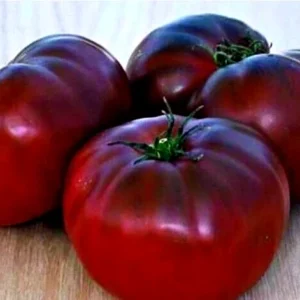 Brandywine Heirloom Tomato Seeds Organic - Black, Red, Orange, Pink - 25 Seeds - Image 1