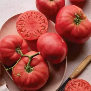 Brandywine Pink Heirloom Tomato Seeds - 25 Organic Seeds for Large Tomatoes - Image 4