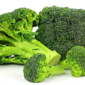 Broccoli Calabrese Green Sprouting Seeds - 30 Seed Pack - Vegetable Gardening - Image 3