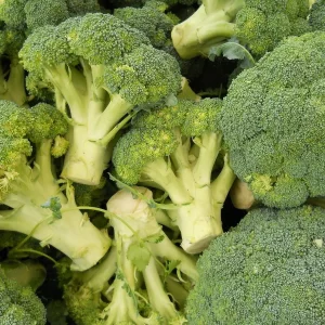 Broccoli Calabrese Green Sprouting Seeds - 30 Seed Pack - Vegetable Gardening - Image 1