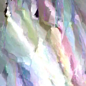 Brogdon Avocado Live Plant – 3ft Air Layered Tree – Outdoor Fruit Tree - Image 1