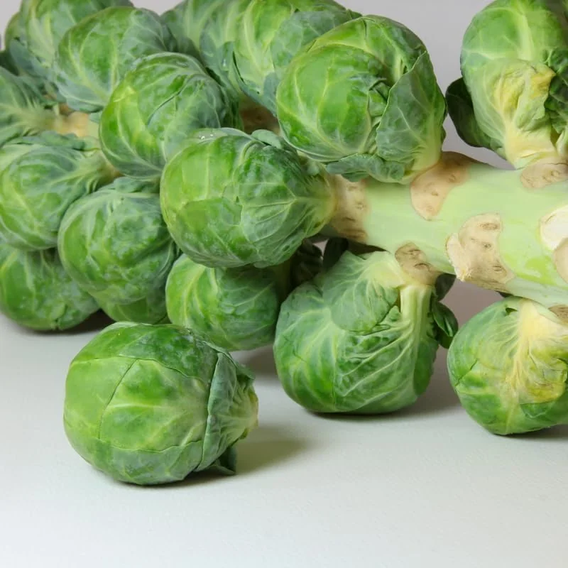 Brussel Sprouts Live Plant, 4" Pot, Fresh Vegetable for Home Garden, Annual - Image 3