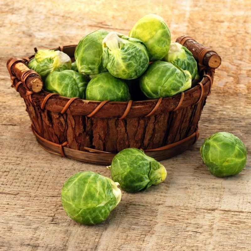 Brussel Sprouts Live Plant, 4" Pot, Fresh Vegetable for Home Garden, Annual - Image 5