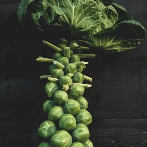 Brussels Sprout Jade Cross E Seeds - 1000 Pack, Green, Outdoor Vegetable - Image 3