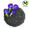Butterfly Pea Seeds - Organic Clitoria Ternatea Blue Flower Seeds - Image 1