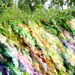 Buttonbush Live Plant Cephalanthus occidentalis 16+ Inches Tall - Set of 2 Outdoor Shrub - Image 3