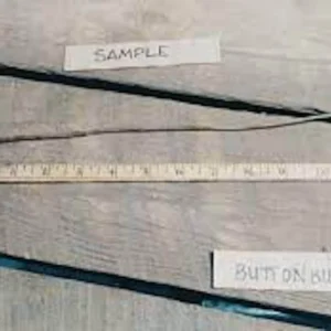 Buttonbush Plant 12-24in Tall Bare Root Shrub - Cephalanthus occidentalis - Image 2