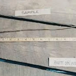 Buttonbush Plant - 3 Bare Root Shrub, 12-24in Tall - Cephalanthus occidentalis - Image 2