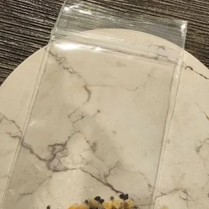 Cactus Seed Mix - DIY Cacti Garden Kit - Min. 25 Seeds - Image 4