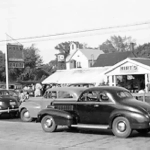 Cactus & Succulent Live Plant Collection - 8 Species, 2-inch Pots, Assorted - Image 3