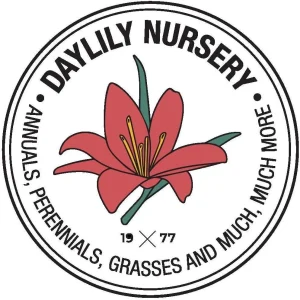 Candy Prince Tulip Bulbs - Single Early Lavender Blooms - 12-14 inch Tall - Image 5