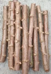 Cassava Live Plant & Yuca Cuttings - Edible Root Crop - Image 3