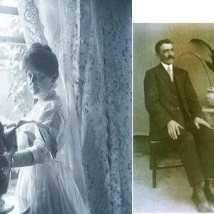 Cast Iron Plant Aspidistra Live Plant – Easy Care Indoor Foliage – 6 inch Pot - Image 3