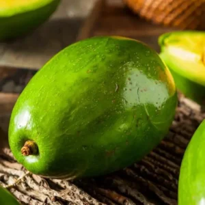 Catalina Avocado Tree Live Plant - Grafted, 3 Gallon Pot - Outdoor Fruit Tree - Image 4