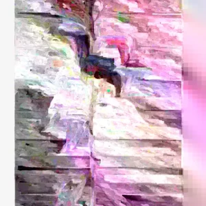 Catalina Avocado Tree Live Plant – Grafted – 3ft Tall in 3 Gallon Pot - Image 3