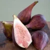 Celestial Fig Tree Live Plant - 2ft Tall in 6in Pot - Sweet Fruit - Image 1