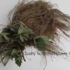 Chandler Strawberry Bare Root Plants - Sweet June Bearing, Great for Southern Areas - Image 1