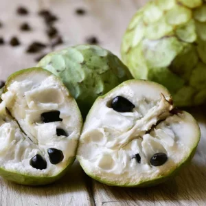 Cherimoya Live Plant – Tropical Fruit Tree – 1 Gallon, 16–22 Inches – Annona cherimola - Image 3