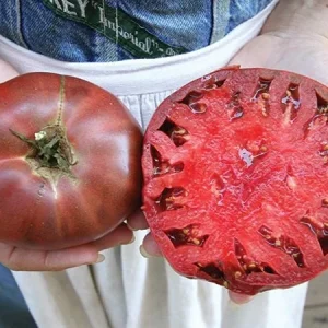 Cherokee Purple Tomato Seeds - Heirloom, NON-GMO, Indeterminate, 90 Days - Image 3