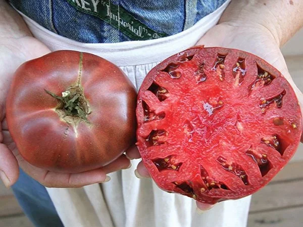 Cherokee Purple Tomato Seeds - Heirloom, NON-GMO, Indeterminate, 90 Days - Image 3