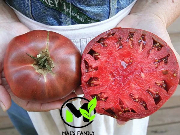 Cherokee Purple Tomato Seeds - Heirloom, NON-GMO, Indeterminate Variety - Image 1
