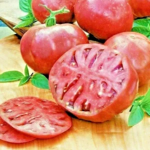 Cherokee Purple Tomato Seeds - Heirloom Vegetable Seeds for Planting - Fast Grow - Image 2