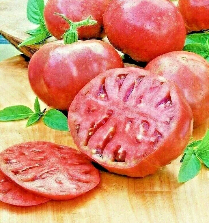 Cherokee Purple Tomato Seeds - Heirloom Vegetable Seeds for Planting - Fast Grow - Image 1