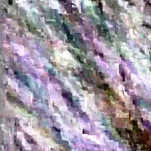 Cherry Plum Live Tree - Up to 3 ft Tall - Fruit Bearing Plant for Gardens - Image 2