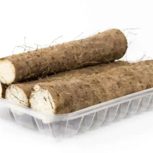 Chinese Yam Live Plants - Shan Yao Dioscorea Opposita - 3-Pack - Climbing Vine - Image 7