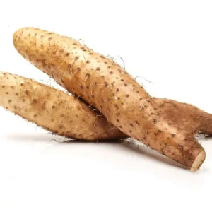 Chinese Yam Live Plants - Shan Yao Dioscorea Opposita - 3-Pack - Climbing Vine - Image 9