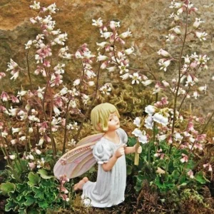 Chiquita Coral Bells Live Plant - Heuchera - 2.5