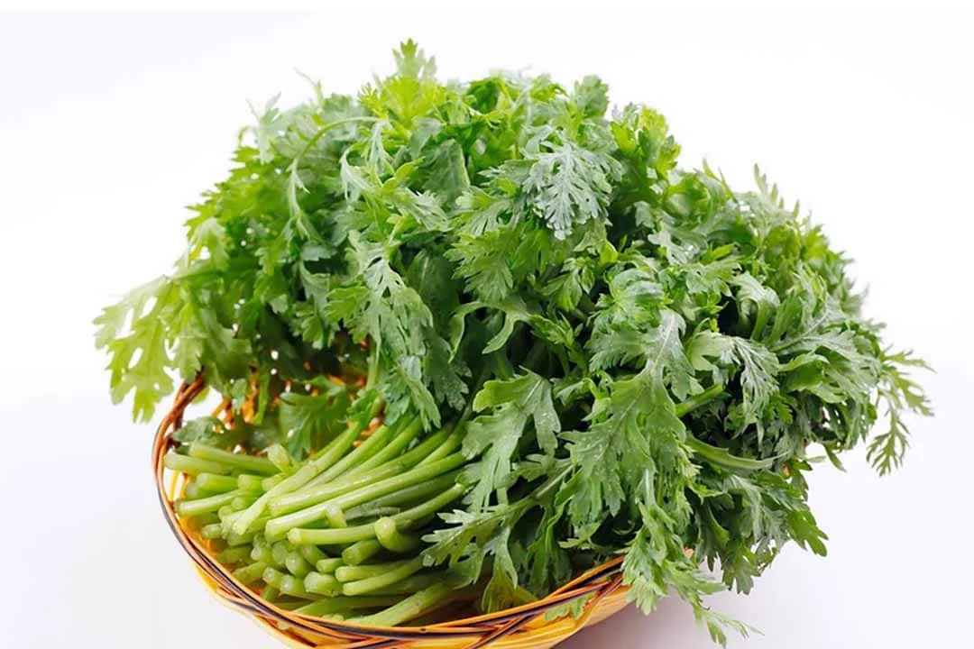 Chrysanthemum Shungiku Seeds - 1000+ Tong Ho Vegetable Seeds for Eating & Yellow Flowers - Image 1