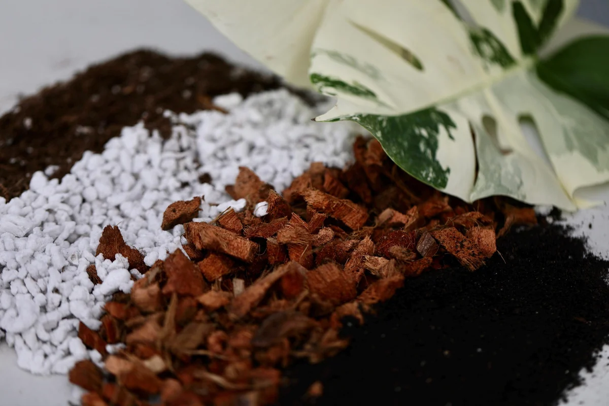 Chunky Aroid Potting Mix – Well-Draining Soil for Monstera & Rare Indoor Plants - Image 3