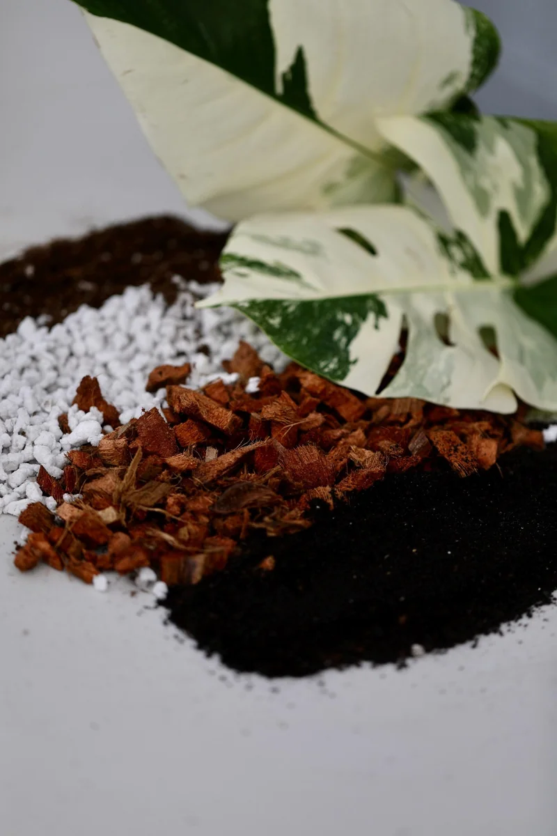 Chunky Aroid Potting Mix – Well-Draining Soil for Monstera & Rare Indoor Plants - Image 4
