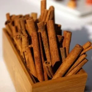 Cinnamon - 6" to 1 feet tall - ship in 6" pot - Image 2