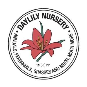 Coreopsis Solar Eclipse Live Plant – 3.5 inch Pot – Cherry Red & Yellow Flowers – Outdoor Perennial - Image 5