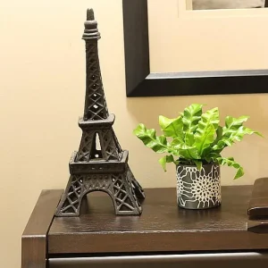 Crispy Wave Fern Live Plant - 2.5