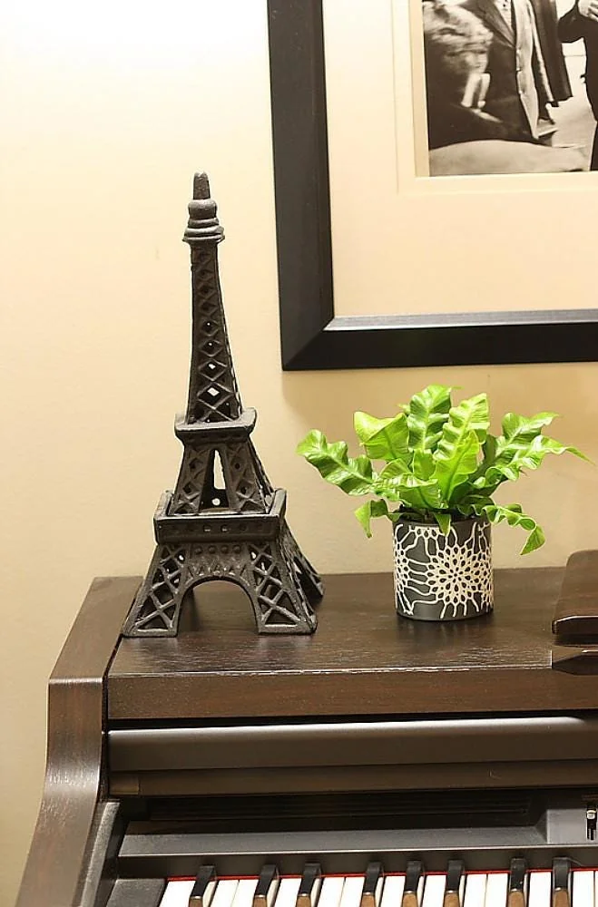 Crispy Wave Fern Live Plant - 2.5" Pot - Asplenium - Indoor Air Purifier - Image 4